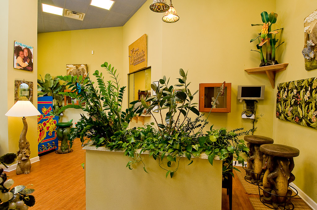 Pediatric Dental Care Interstruct