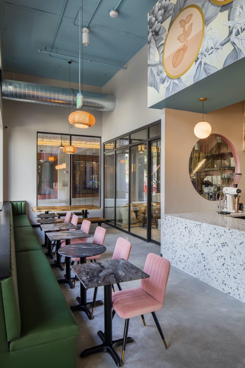 Stemma Craft Coffee Interstruct